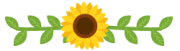 sunflower icon-01